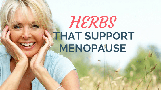 7 Herbs That Support Menopause (Hot Flashes, Sleep Issues, Mood Swings)