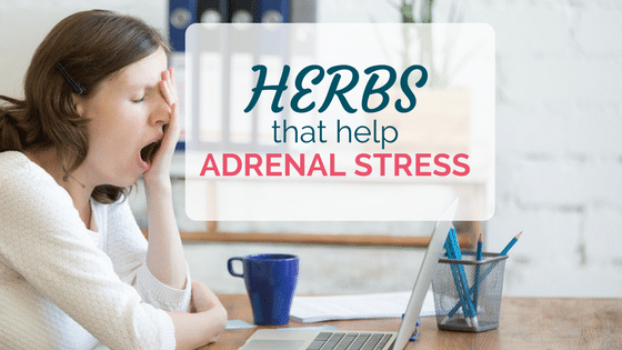 9 Herbs That Help Adrenal Stress (Exhaustion, Always Wired)