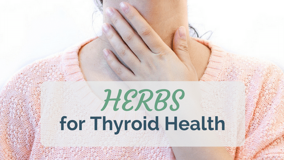 8 Herbs For Your Thyroid (Weight gain, Fatigue, Hair loss, Dry skin)